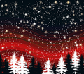 20oz SUBLIMATED DUO SKINNY TUMBLER - Christmas 5