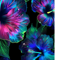 20oz SUBLIMATED DUO SKINNY TUMBLER - Neon Glowing Hibiscus 1